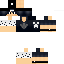 Texture for Steve