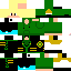 Texture for The Green Ninja