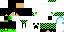Texture for xray1501
