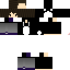 Texture for Quizzal 2