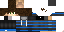 Texture for Dash