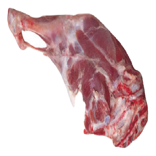 Texture for Raw Beef