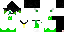 Texture for Hawk
