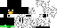 Texture for penguin