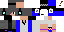 Texture for LinkerMC V2