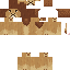 Texture for sh2