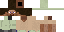 Texture for Steve