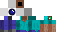 Texture for orbcraftsteve