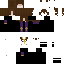 Texture for mc priest