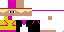 Texture for Steve