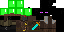 Texture for ender