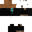 Texture for capycapy3