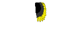 Texture for storms wings