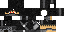 Texture for Ninja