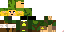 Texture for LINK