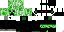 Texture for the creeper espião