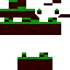 Texture for Grass Block