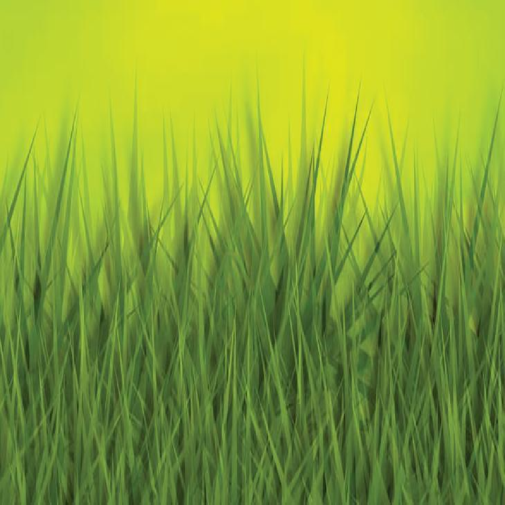 Texture for Demo_background