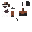 Texture for Passarinho beta