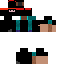 Texture for Ninja