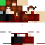 Texture for ds