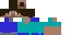 Texture for Steve lite