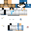 Texture for RocketdaCAT Race Car