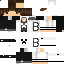 Texture for Bully