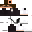 Texture for Professional Cs2