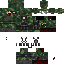 Texture for z16