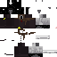 Texture for Capskin 2