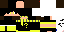 Texture for Skypak