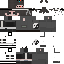 Texture for ninja