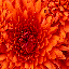 Texture for FireZombie (Face)