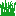 Texture for Grass stckut