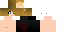 Texture for SuperMC