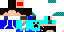 Texture for Computrix