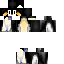 Texture for Pingo
