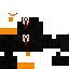Texture for Goose