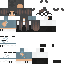 Texture for Cat