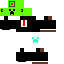Texture for CreepSteve