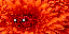 Texture for fire squid