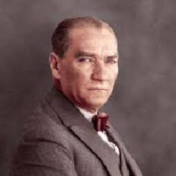 Texture for Atatürk cerceve