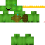 Texture for turtle1