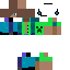Texture for RL006