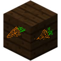 Texture for test