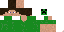 Texture for steve:creeper costume