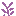 Texture for lilac_top