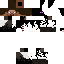 Texture for endersteve 