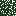 Texture for White Spruce Leaves